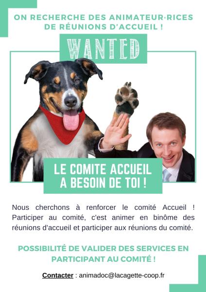 onrecherchedesanimateuricesdereunionsda_tr-wanted-comite.jpg
