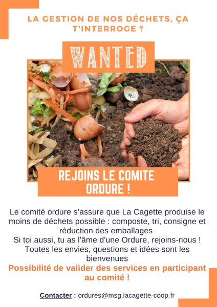 wantedrejoinslesorduresducomitedumeme_tr-wanted-comite.jpg