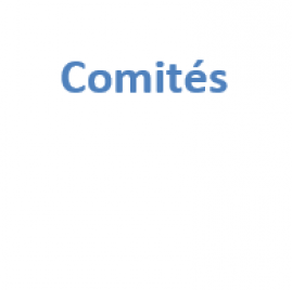 image comits.png (1.6kB)
Lien vers: https://lacagette-coop.fr/?ComitE