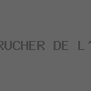 LE RUCHER DE L'AVY