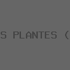 OR DES PLANTES (SARL)